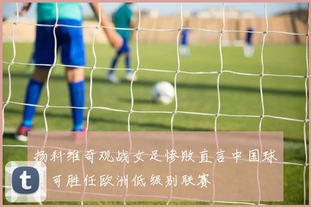 扬科维奇观战女足惨败直言中国球员可胜任欧洲低级别联赛